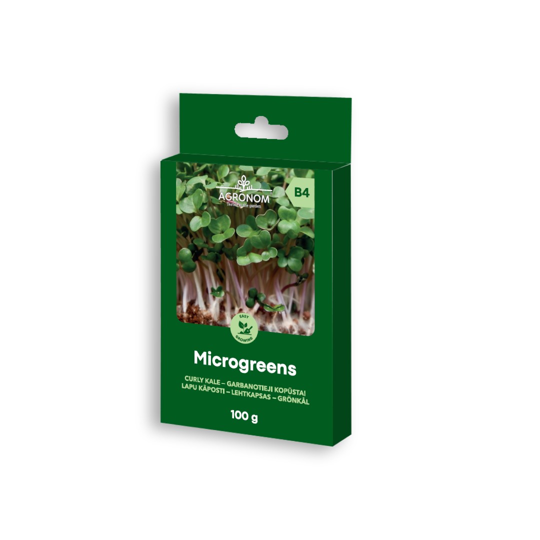 Microgreens – Curly Kale