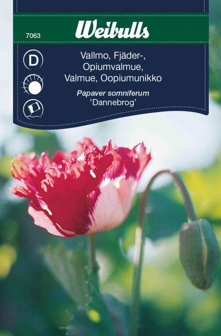 Vallmo, fjäder- Dannebrog