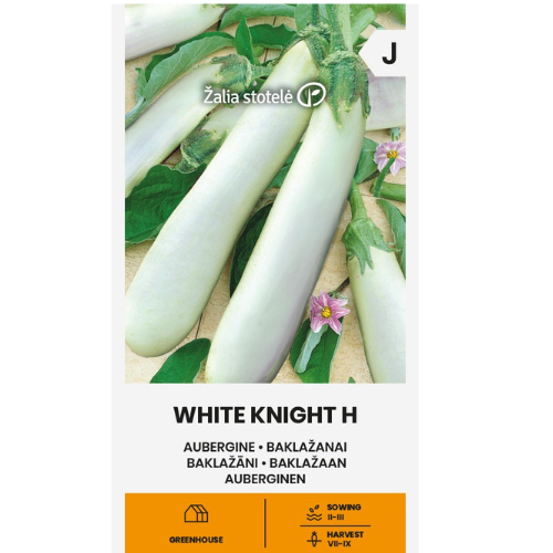 Aubergine - White Knight H
