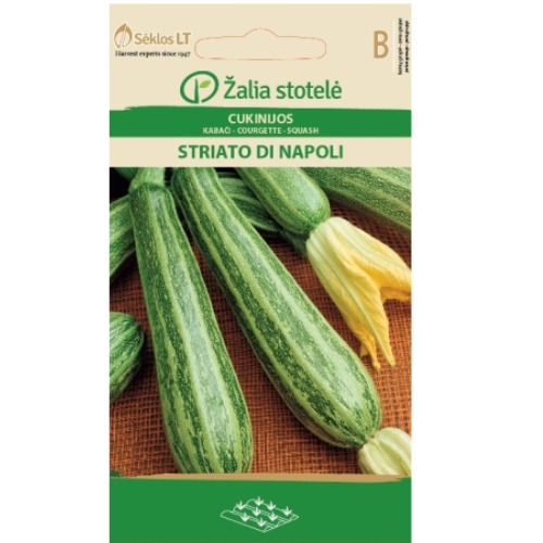 Squash - Striato Di Napoli