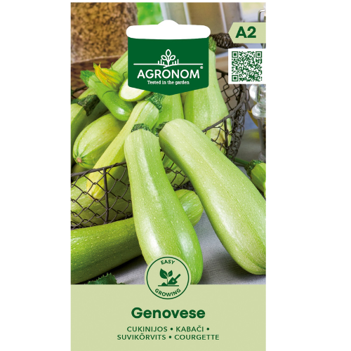 Squash - Genovese