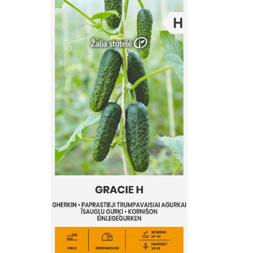 Pickled cucumber - Gracie