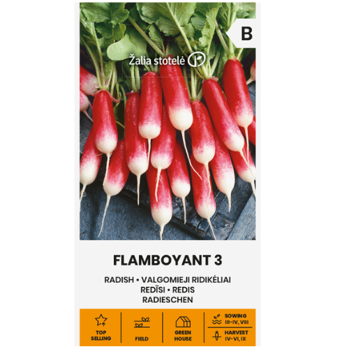 Rädisa Flamboyant 3 – Elegant och smakrik