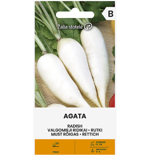 Radish - Agata
