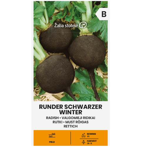 Rädisa - Runder Schwarzer Winter