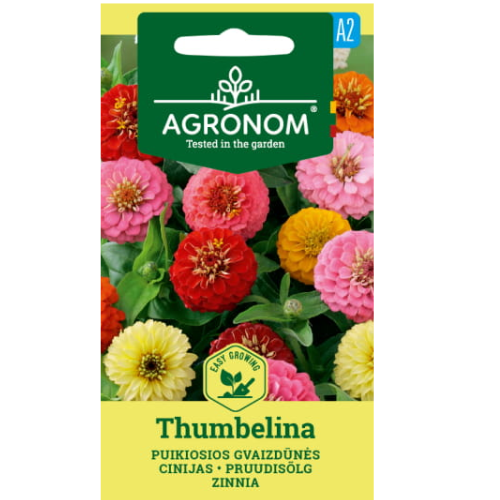 Zinnia - Thumbelina
