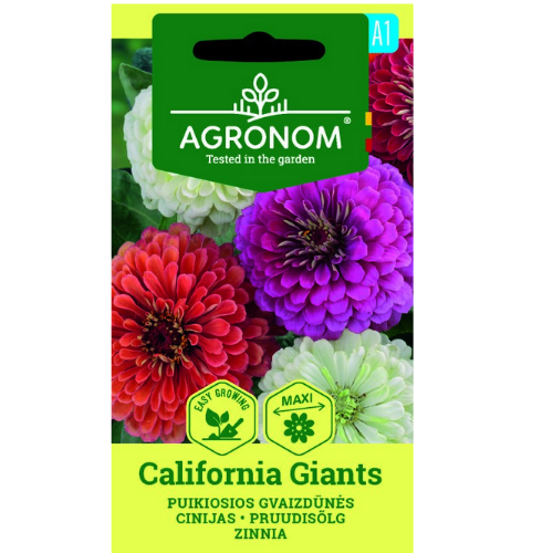Zinnia - California Giants