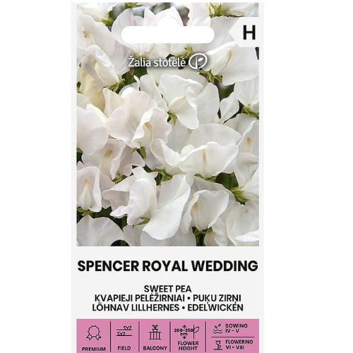 Luktärt - Spencer Royal Wedding