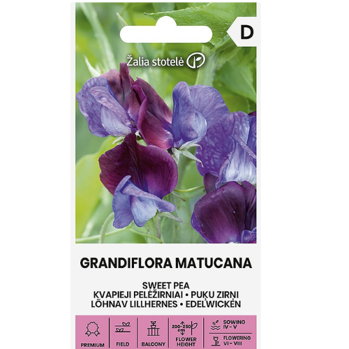 Sweet Pea - Grandiflora Matucana
