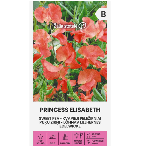 Luktärt - Princess Elisabeth