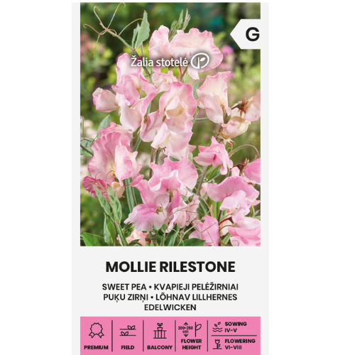 Luktärt - Mollie Rilestone