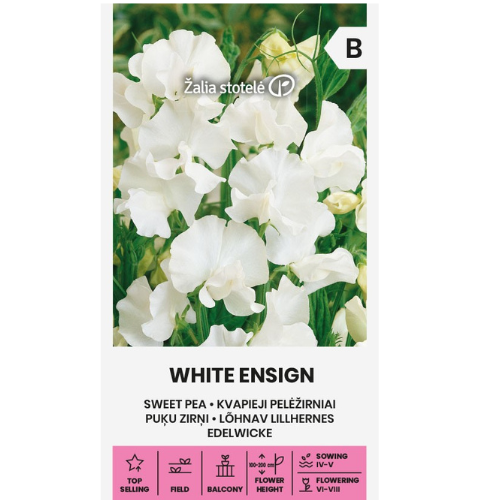 Luktärt - White Ensign