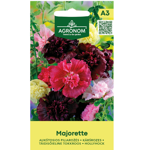 Stockros - Majorette