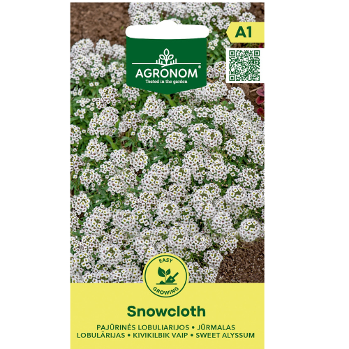 Söt Alyssum - Snowcloth