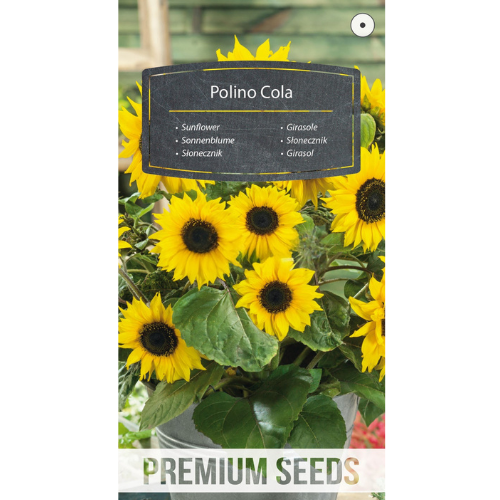 Sunflower - Polino Cola