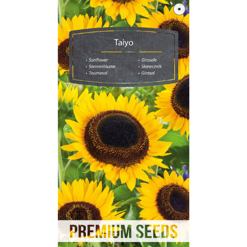Sunflower - Taiyo