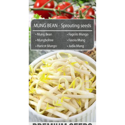 Mung Beans Sprouted Seeds