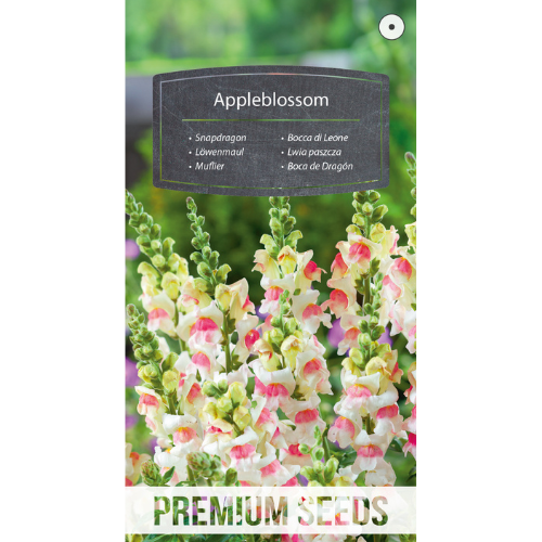 Lejongap - Appleblossom