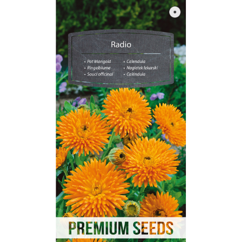 Marigold - Radio