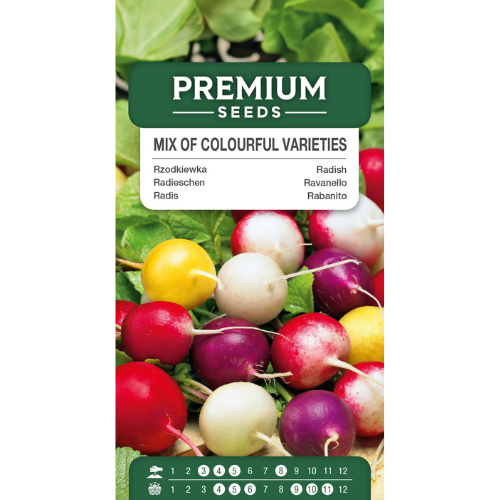 Rädisor - Mix of Colourful Varieties