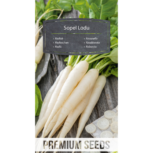 Rädisa - Sopel Lodu