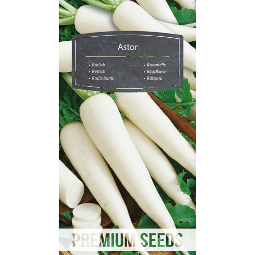 Rädisa - Astor