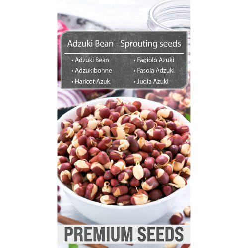 Groddfrön - Adzukibönor
