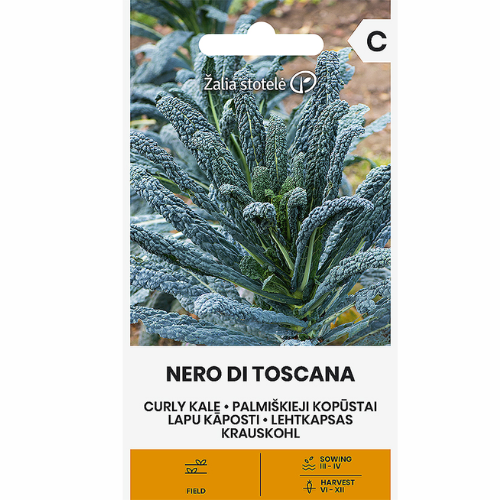 Black cabbage - Nero Di Toscana