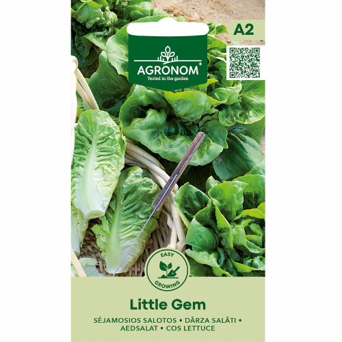 Sallat - Little Gem