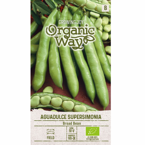 Organic Broad Bean - Aguadulce Supersimonia
