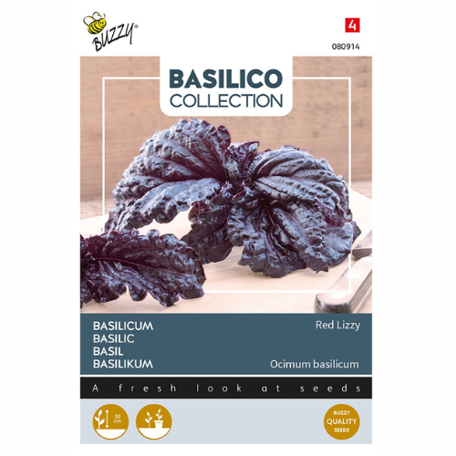 Basil - Red Lizzy