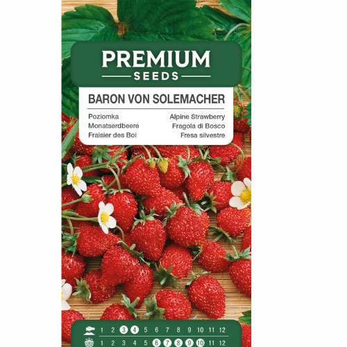 Smultron - Baron von Solemacher