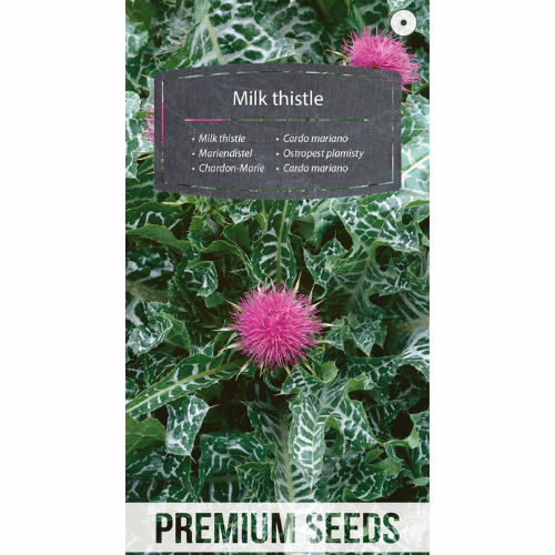 Mariatistel – Biväxt