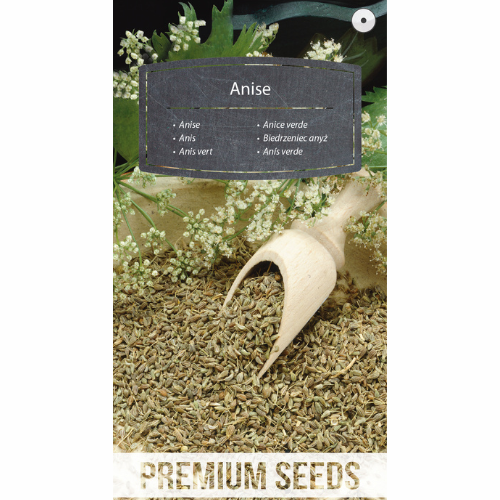 Anise