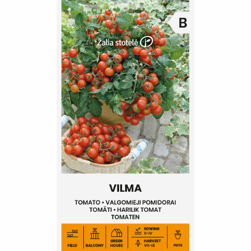 Tomat - Vilma
