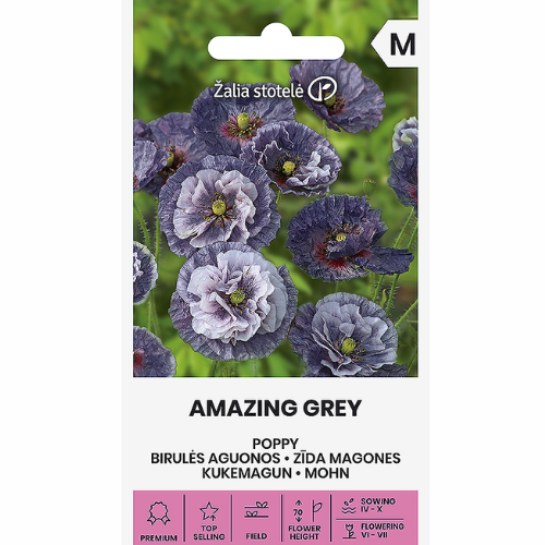 Vallmo - Amazing Grey