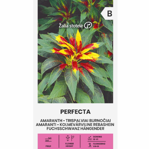 Amaranth - Perfecta