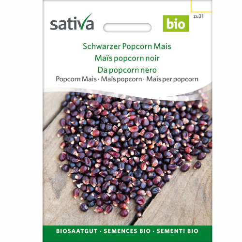 Organic Corn – Black Popcorn