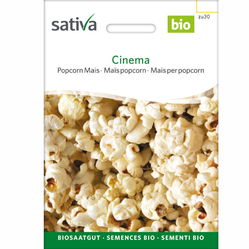 Organic Popcorn Corn – Cinema