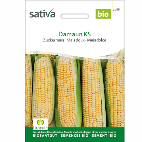 Ekologisk Sockermajs – Damaun