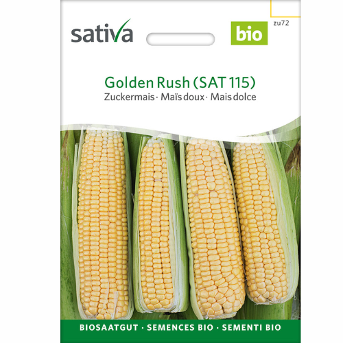 Ekologisk Sockermajs – Golden Rush