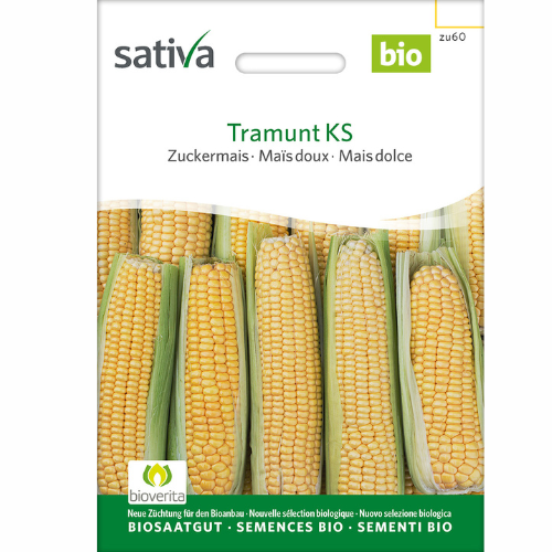 Ekologisk Sockermajs – Tramunt KS