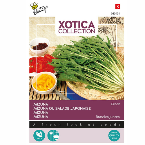 Mizuna – grön