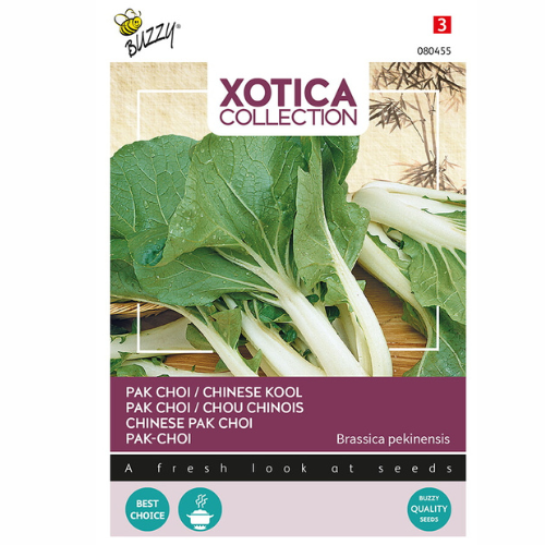 Pak Choi – Kinesisk Taisai