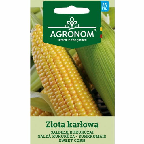 Sweet corn – Złota Karłowa