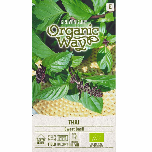 Organic Thai basil