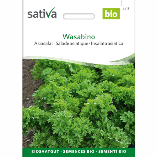 Asiatisk bladkål – Wasabino
