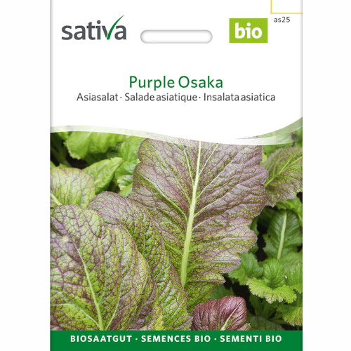 Asiatisk bladkål – Purple Osaka