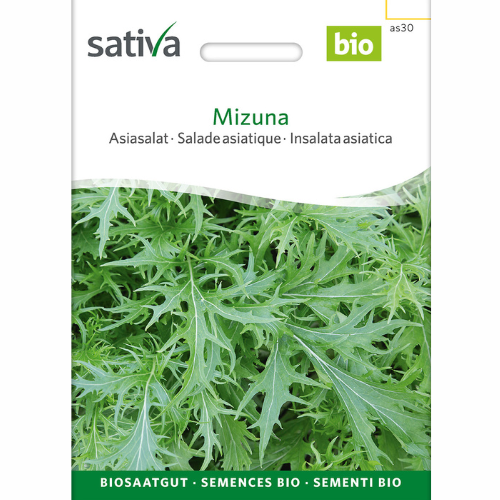 Asian leafy cabbage – Mizuna