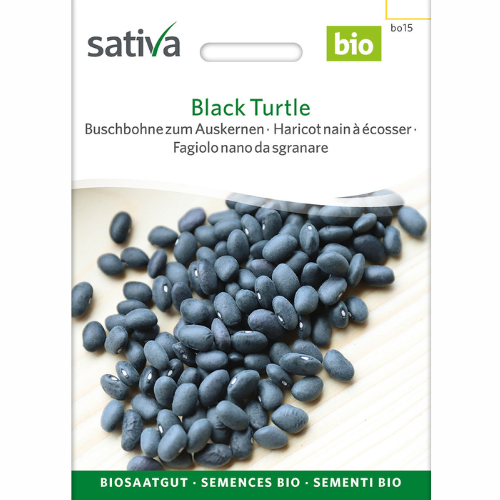 Bushbønne – Sort skildpadde